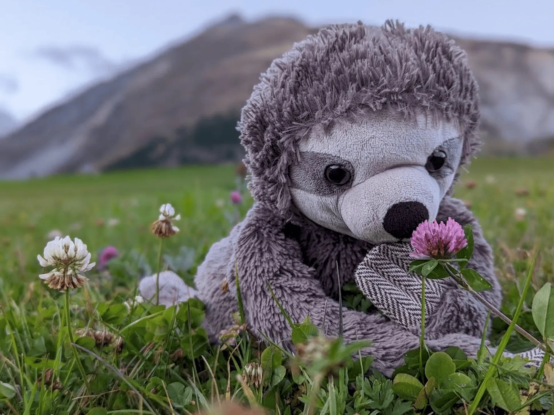 Mr. Sloth, the learning companion who reminds you to go at your own pace